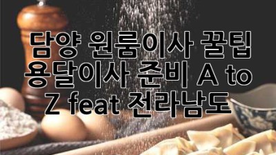 담양 원룸이사 꿀팁🍯 용달이사 준비 A to Z (feat. 전라남도)
