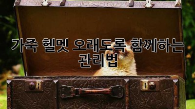 가죽 헬멧, 오래도록 함께하는 관리법